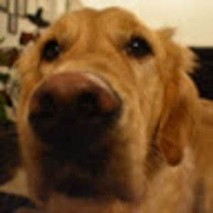 Meet your Posher, Srinidhi